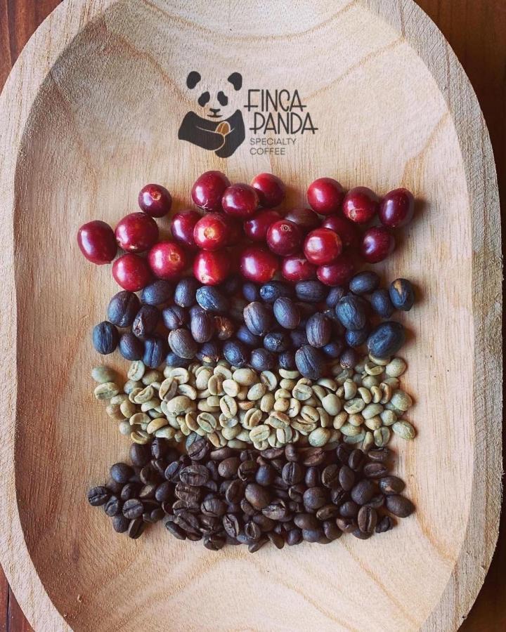 Finca Panda Boquete Luaran gambar