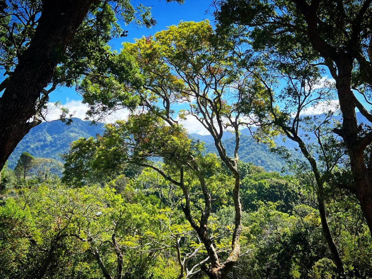 Finca Panda Boquete Luaran gambar